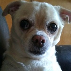 Meet your Posher, Lori